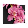 92409-544.jpg Cymbidium Hybrid Orchid Poster