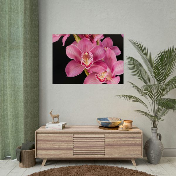 92409-545.jpg Cymbidium Hybrid Orchid Poster