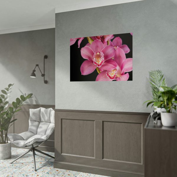 92409-546.jpg Cymbidium Hybrid Orchid Poster