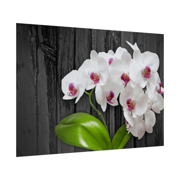 92409-554.jpg White Orchid Plant Poster