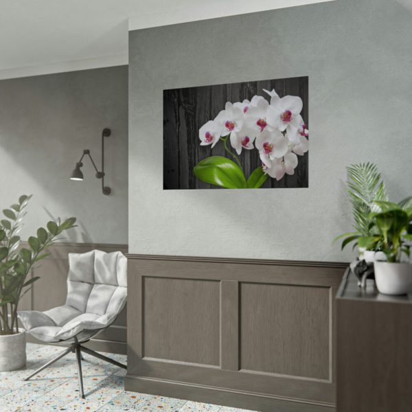 92409-556.jpg White Orchid Plant Poster