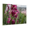 92409-559.jpg Orchid Cash Plant Poster