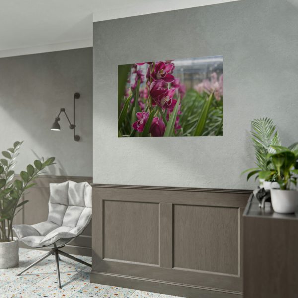 92409-561.jpg Orchid Cash Plant Poster