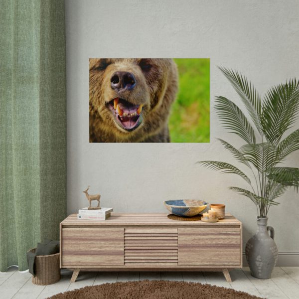 92409-565.jpg European Brown Bear Poster