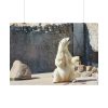 White Polar Bear Zoo Poster