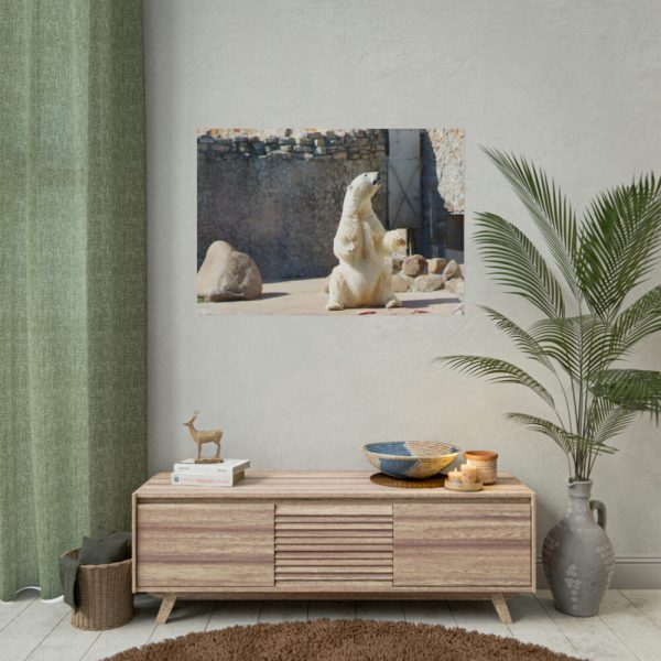 White Polar Bear Zoo Poster
