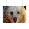 92409-593.jpg Syrian Bear Face Poster