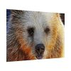 92409-594.jpg Syrian Bear Face Poster