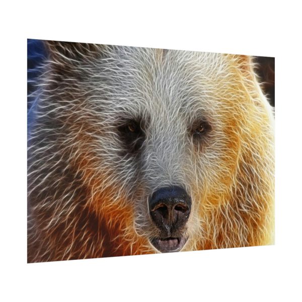 92409-594.jpg Syrian Bear Face Poster