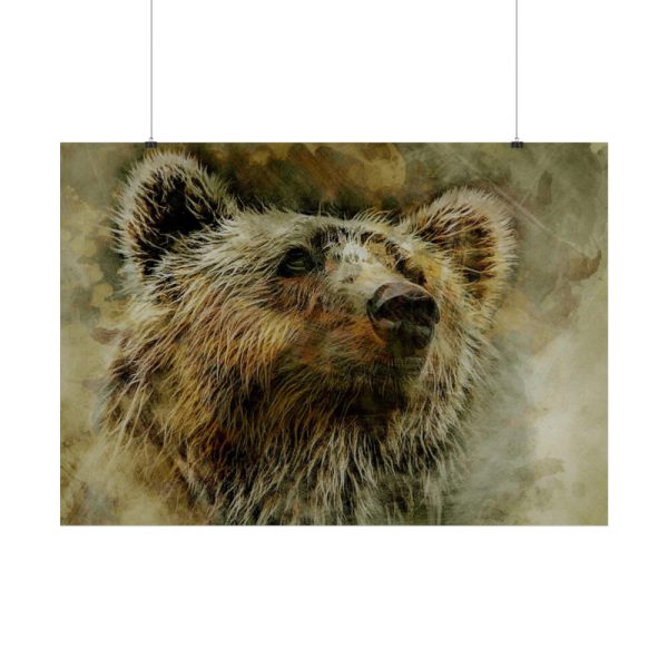 Grizzly Bear Kodiak Head Poster
