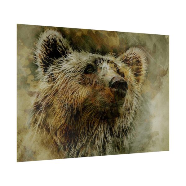 Grizzly Bear Kodiak Head Poster