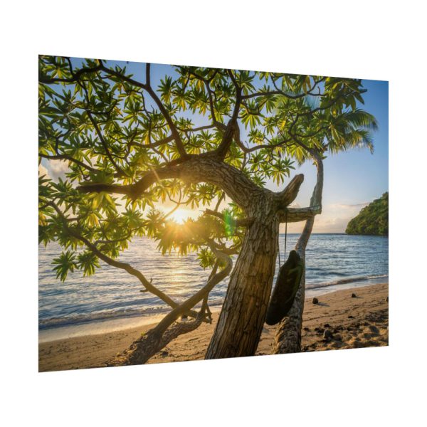 92409-609.jpg Sneaker Hanging from a Sand Beach Tree at Sunset Poster