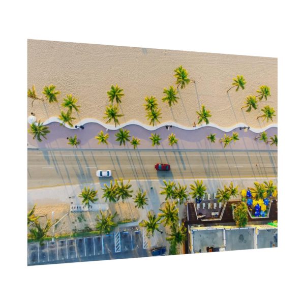 Palm Tree-Lined Road Poster
