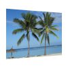 92409-634.jpg Palm Tree on the Beach Poster