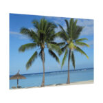 Palm Tree on the Beach Poster - Image 8