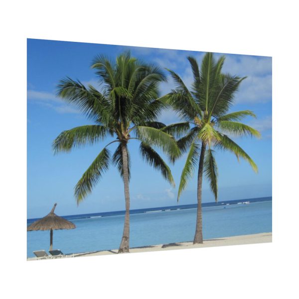 92409-634.jpg Palm Tree on the Beach Poster