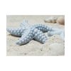 92409-672.jpg Starfish Poster