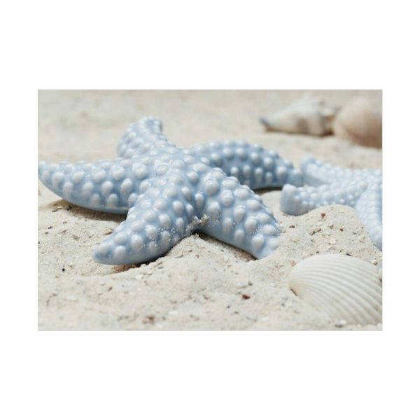 92409-672.jpg Starfish Poster