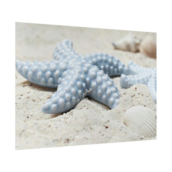 92409-674.jpg Starfish Poster