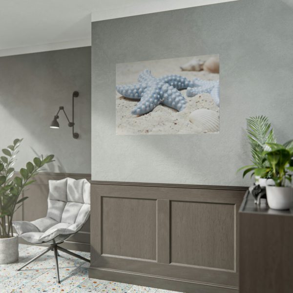 92409-676.jpg Starfish Poster