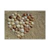 92409-677.jpg Heart Stones on Beach Poster
