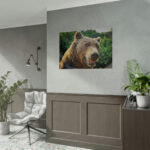 Grizzly Bear Snout Poster - Image 10