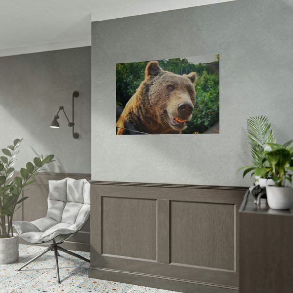 Grizzly Bear Snout Poster