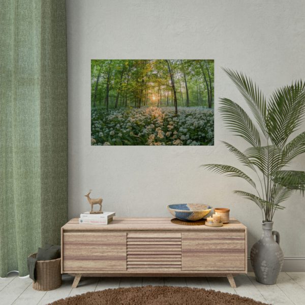 92409-705.jpg Forest at Sunset with Bear's Garlic Poster
