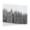 92409-724.jpg Snow Covered Trees in Forest Poster