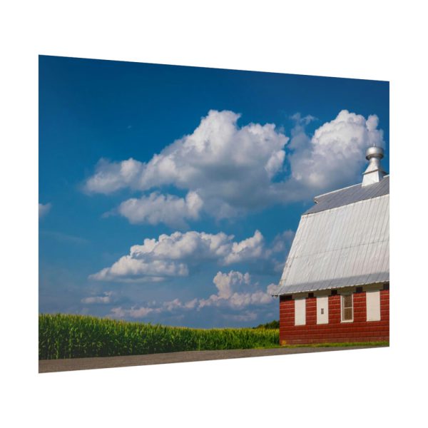 92409-82.jpg Cornfield and Red Barn Scenic Poster