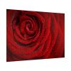 92409-94.jpg Red Rose Poster