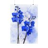 Phalaenopsis Orchid Flower Poster