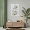 White Orchid Poster