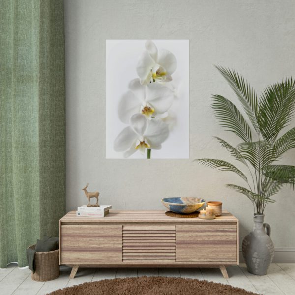 White Orchid Poster