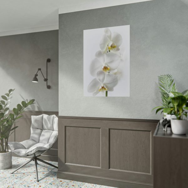 White Orchid Poster