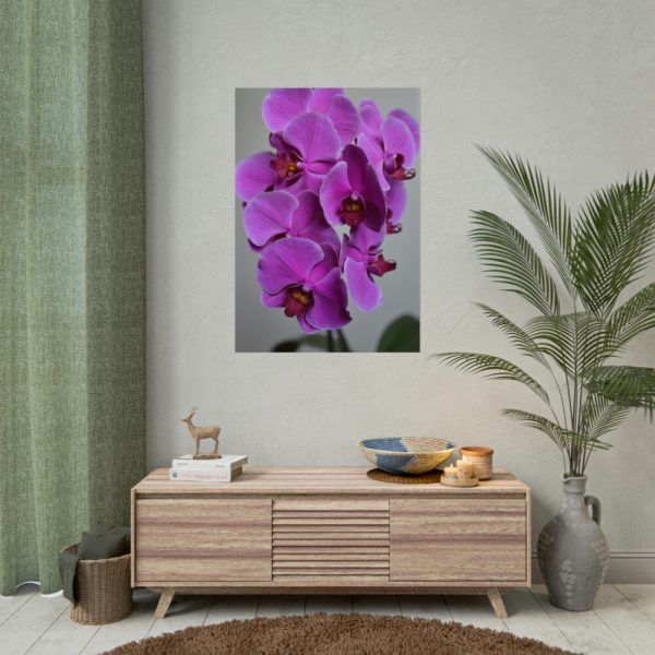 Purple Orchid Poster
