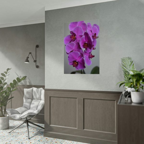 Purple Orchid Poster