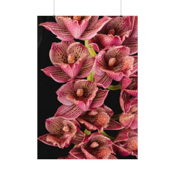 92410-121.jpg Catasetum Orchidglade Poster
