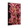 92410-122.jpg Catasetum Orchidglade Poster