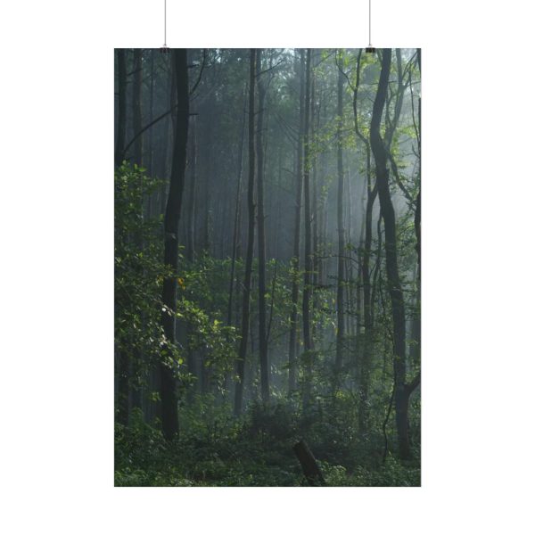 92410-141.jpg A Small Clearing in a Lush Forest Poster