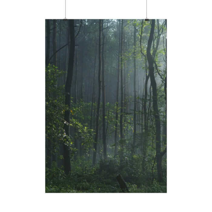 A Small Clearing in a Lush Forest Poster - Image 2