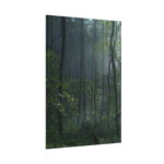 A Small Clearing in a Lush Forest Poster - Image 3