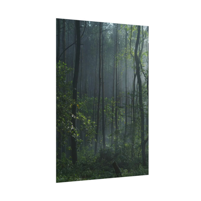 A Small Clearing in a Lush Forest Poster - Image 3