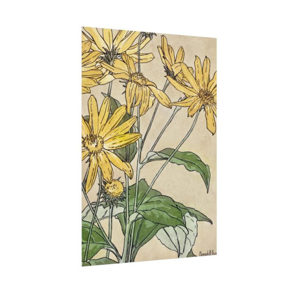92410-30.jpg Sunflowers by Hannah Borger Overbeck Poster