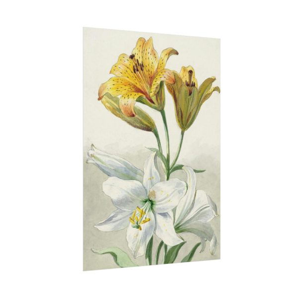 Yellow and White Lilies by William van Leen Poster