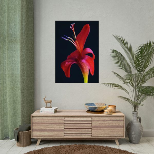 Red Flower Poster