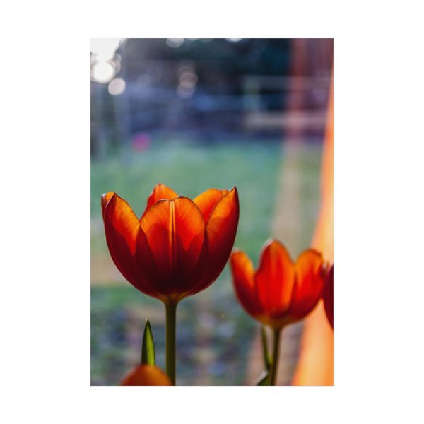 Spring Poster