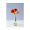 Three Daisies Poster