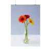 Three Daisies Poster