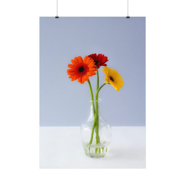 Three Daisies Poster